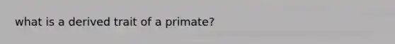 what is a derived trait of a primate?