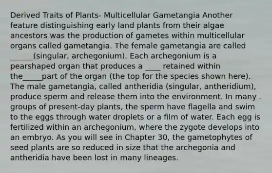 Derived Traits of Plants- Multicellular Gametangia Another feature distinguishing early land plants from their algae ancestors was the production of gametes within multicellular organs called gametangia. The female gametangia are called ______(singular, archegonium). Each archegonium is a pearshaped organ that produces a ____ retained within the_____part of the organ (the top for the species shown here). The male gametangia, called antheridia (singular, antheridium), produce sperm and release them into the environment. In many . groups of present-day plants, the sperm have flagella and swim to the eggs through water droplets or a film of water. Each egg is fertilized within an archegonium, where the zygote develops into an embryo. As you will see in Chapter 30, the gametophytes of seed plants are so reduced in size that the archegonia and antheridia have been lost in many lineages.