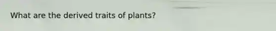 What are the derived traits of plants?