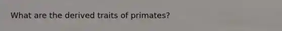 What are the derived traits of primates?