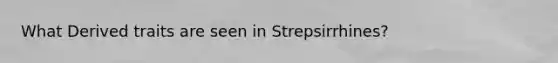 What Derived traits are seen in Strepsirrhines?