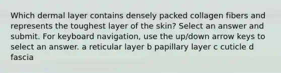 Which dermal layer contains densely packed collagen fibers and represents the toughest layer of the skin? Select an answer and submit. For keyboard navigation, use the up/down arrow keys to select an answer. a reticular layer b papillary layer c cuticle d fascia