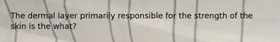 The dermal layer primarily responsible for the strength of the skin is the what?