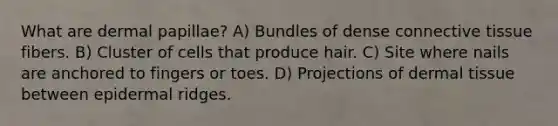What are dermal papillae? A) Bundles of dense connective tissue fibers. B) Cluster of cells that produce hair. C) Site where nails are anchored to fingers or toes. D) Projections of dermal tissue between epidermal ridges.