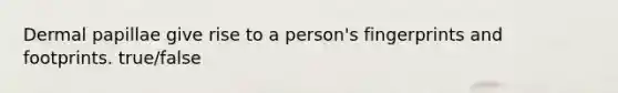 Dermal papillae give rise to a person's fingerprints and footprints. true/false