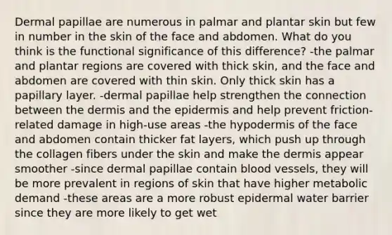 Dermal papillae are numerous in palmar and plantar skin but few in number in the skin of the face and abdomen. What do you think is the functional significance of this difference? -the palmar and plantar regions are covered with thick skin, and the face and abdomen are covered with thin skin. Only thick skin has a papillary layer. -dermal papillae help strengthen the connection between the dermis and the epidermis and help prevent friction-related damage in high-use areas -the hypodermis of the face and abdomen contain thicker fat layers, which push up through the collagen fibers under the skin and make the dermis appear smoother -since dermal papillae contain blood vessels, they will be more prevalent in regions of skin that have higher metabolic demand -these areas are a more robust epidermal water barrier since they are more likely to get wet