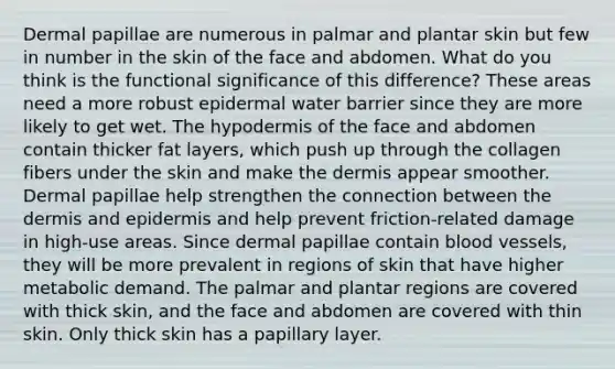 Dermal papillae are numerous in palmar and plantar skin but few in number in the skin of the face and abdomen. What do you think is the functional significance of this difference? These areas need a more robust epidermal water barrier since they are more likely to get wet. <a href='https://www.questionai.com/knowledge/ktsCAWWU5U-the-hypodermis' class='anchor-knowledge'>the hypodermis</a> of the face and abdomen contain thicker fat layers, which push up through the collagen fibers under the skin and make <a href='https://www.questionai.com/knowledge/kEsXbG6AwS-the-dermis' class='anchor-knowledge'>the dermis</a> appear smoother. Dermal papillae help strengthen the connection between the dermis and epidermis and help prevent friction-related damage in high-use areas. Since dermal papillae contain <a href='https://www.questionai.com/knowledge/kZJ3mNKN7P-blood-vessels' class='anchor-knowledge'>blood vessels</a>, they will be more prevalent in regions of skin that have higher metabolic demand. The palmar and plantar regions are covered with thick skin, and the face and abdomen are covered with thin skin. Only thick skin has a papillary layer.