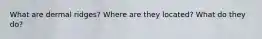 What are dermal ridges? Where are they located? What do they do?