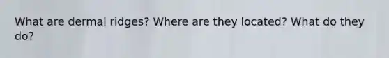 What are dermal ridges? Where are they located? What do they do?