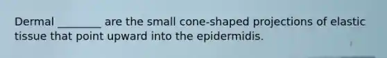 Dermal ________ are the small cone-shaped projections of elastic tissue that point upward into the epidermidis.