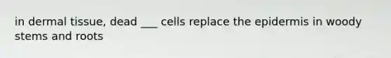 in dermal tissue, dead ___ cells replace the epidermis in woody stems and roots