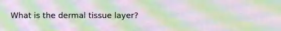 What is the <a href='https://www.questionai.com/knowledge/kRKdINDJId-dermal-tissue' class='anchor-knowledge'>dermal tissue</a> layer?