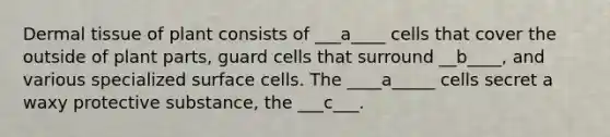 <a href='https://www.questionai.com/knowledge/kRKdINDJId-dermal-tissue' class='anchor-knowledge'>dermal tissue</a> of plant consists of ___a____ cells that cover the outside of plant parts, guard cells that surround __b____, and various specialized surface cells. The ____a_____ cells secret a waxy protective substance, the ___c___.