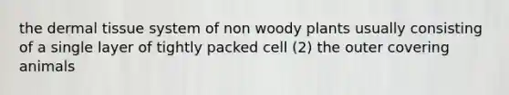 the dermal tissue system of non woody plants usually consisting of a single layer of tightly packed cell (2) the outer covering animals