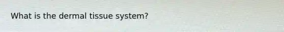 What is the dermal tissue system?