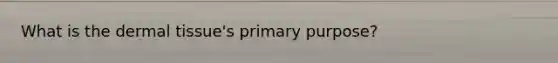 What is the dermal tissue's primary purpose?