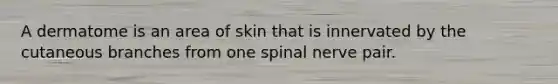 A dermatome is an area of skin that is innervated by the cutaneous branches from one spinal nerve pair.