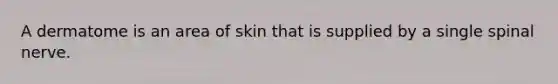 A dermatome is an area of skin that is supplied by a single spinal nerve.