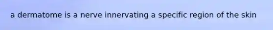a dermatome is a nerve innervating a specific region of the skin