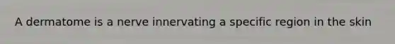 A dermatome is a nerve innervating a specific region in the skin