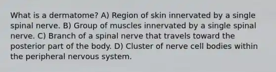 What is a dermatome? A) Region of skin innervated by a single spinal nerve. B) Group of muscles innervated by a single spinal nerve. C) Branch of a spinal nerve that travels toward the posterior part of the body. D) Cluster of nerve cell bodies within the peripheral nervous system.