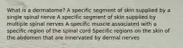 What is a dermatome? A specific segment of skin supplied by a single spinal nerve A specific segment of skin supplied by multiple spinal nerves A specific muscle associated with a specific region of the spinal cord Specific regions on the skin of the abdomen that are innervated by dermal nerves