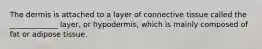 The dermis is attached to a layer of connective tissue called the _____________ layer, or hypodermis, which is mainly composed of fat or adipose tissue.