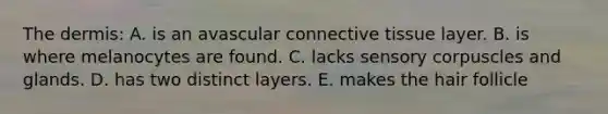 The dermis: A. is an avascular connective tissue layer. B. is where melanocytes are found. C. lacks sensory corpuscles and glands. D. has two distinct layers. E. makes the hair follicle