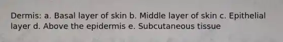 Dermis: a. Basal layer of skin b. Middle layer of skin c. Epithelial layer d. Above the epidermis e. Subcutaneous tissue