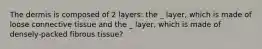 The dermis is composed of 2 layers: the _ layer, which is made of loose connective tissue and the _ layer, which is made of densely-packed fibrous tissue?