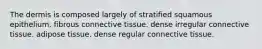 The dermis is composed largely of stratified squamous epithelium. fibrous connective tissue. dense irregular connective tissue. adipose tissue. dense regular connective tissue.