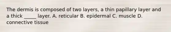 The dermis is composed of two layers, a thin papillary layer and a thick _____ layer. A. reticular B. epidermal C. muscle D. connective tissue