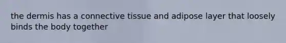 the dermis has a connective tissue and adipose layer that loosely binds the body together