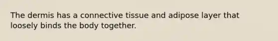 The dermis has a connective tissue and adipose layer that loosely binds the body together.