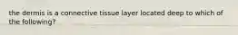 the dermis is a connective tissue layer located deep to which of the following?