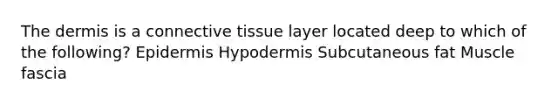 The dermis is a connective tissue layer located deep to which of the following? Epidermis Hypodermis Subcutaneous fat Muscle fascia