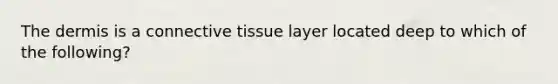 The dermis is a connective tissue layer located deep to which of the following?