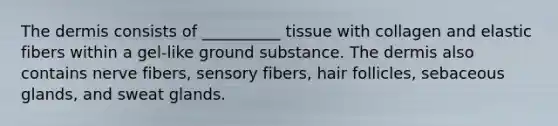 The dermis consists of __________ tissue with collagen and elastic fibers within a gel-like ground substance. The dermis also contains nerve fibers, sensory fibers, hair follicles, sebaceous glands, and sweat glands.