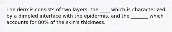 The dermis consists of two layers: the ____ which is characterized by a dimpled interface with the epidermis, and the _______ which accounts for 80% of the skin's thickness.