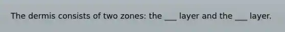 The dermis consists of two zones: the ___ layer and the ___ layer.