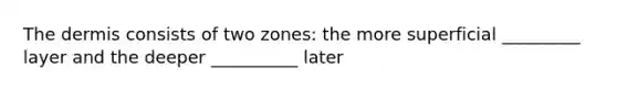 <a href='https://www.questionai.com/knowledge/kEsXbG6AwS-the-dermis' class='anchor-knowledge'>the dermis</a> consists of two zones: the more superficial _________ layer and the deeper __________ later