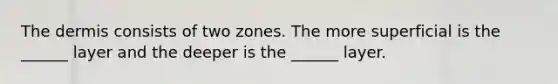 The dermis consists of two zones. The more superficial is the ______ layer and the deeper is the ______ layer.