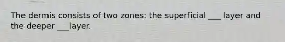 The dermis consists of two zones: the superficial ___ layer and the deeper ___layer.