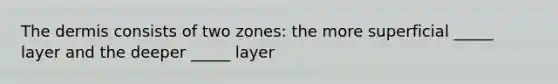 The dermis consists of two zones: the more superficial _____ layer and the deeper _____ layer