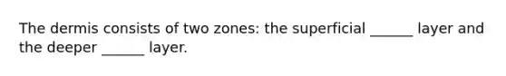 The dermis consists of two zones: the superficial ______ layer and the deeper ______ layer.