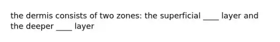 the dermis consists of two zones: the superficial ____ layer and the deeper ____ layer