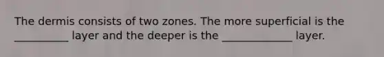 <a href='https://www.questionai.com/knowledge/kEsXbG6AwS-the-dermis' class='anchor-knowledge'>the dermis</a> consists of two zones. The more superficial is the __________ layer and the deeper is the _____________ layer.