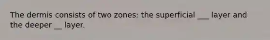 The dermis consists of two zones: the superficial ___ layer and the deeper __ layer.