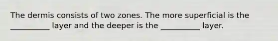 The dermis consists of two zones. The more superficial is the __________ layer and the deeper is the __________ layer.