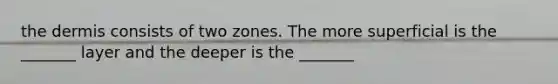 the dermis consists of two zones. The more superficial is the _______ layer and the deeper is the _______